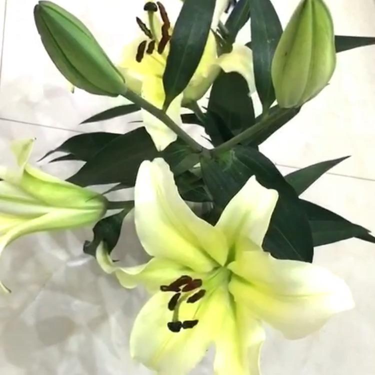 日常生活实录😊😊