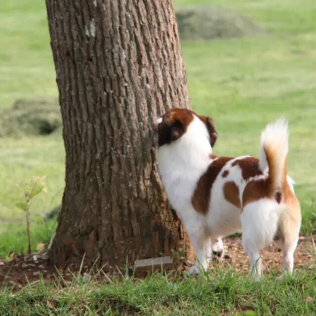 皮皮妈妈（宜兴💕）