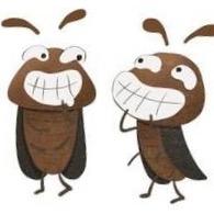 一直倔强的小强