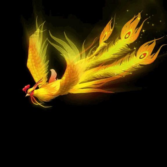🔥凤凰🔥