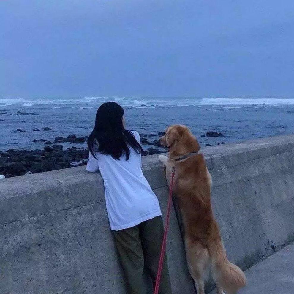 我都说了不吃了