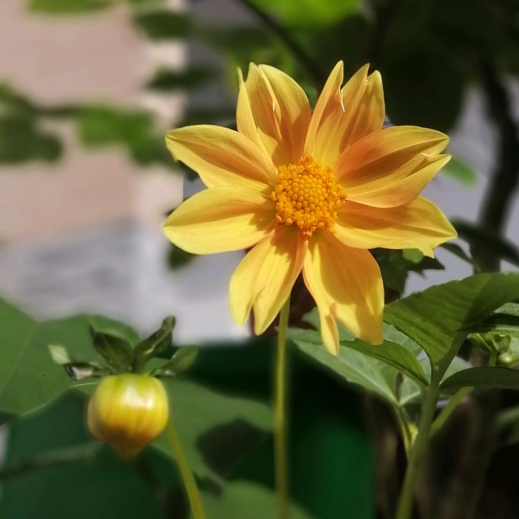 不做糊涂小会计
