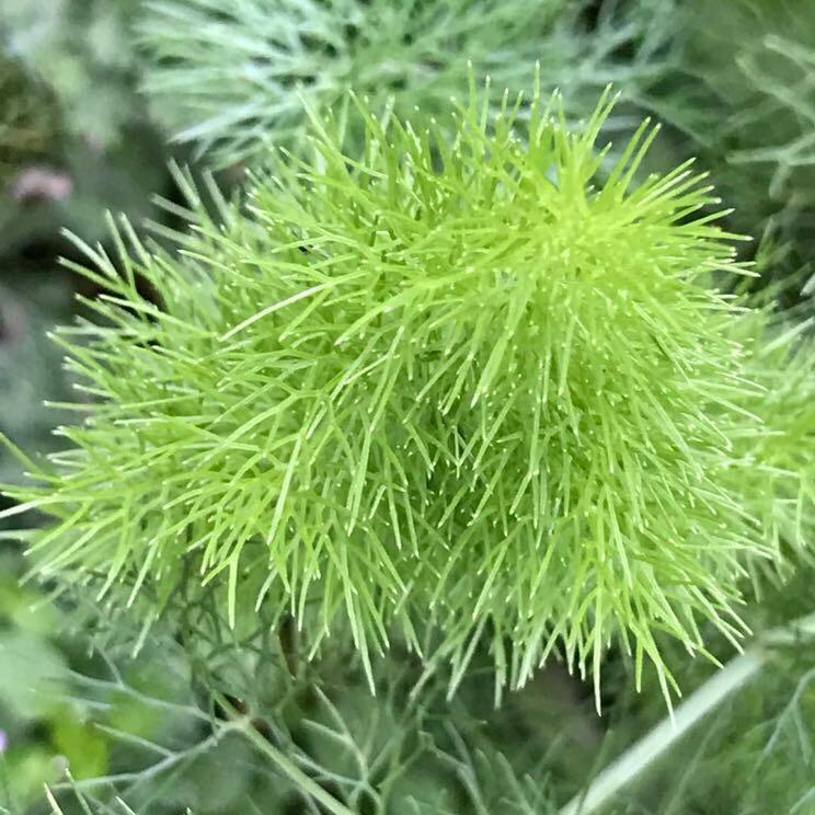 阿松的花花世界