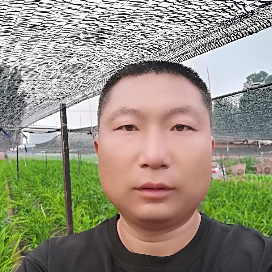 行唐大姜代办赵大刚