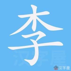 热爱钓鱼