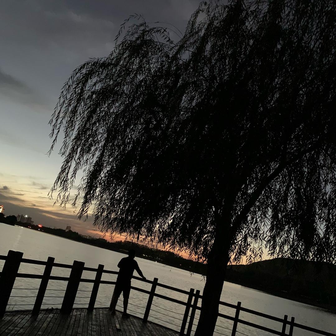 我的名字叫尹桐