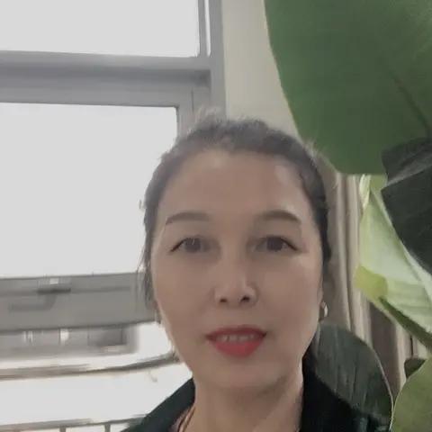 凤凤