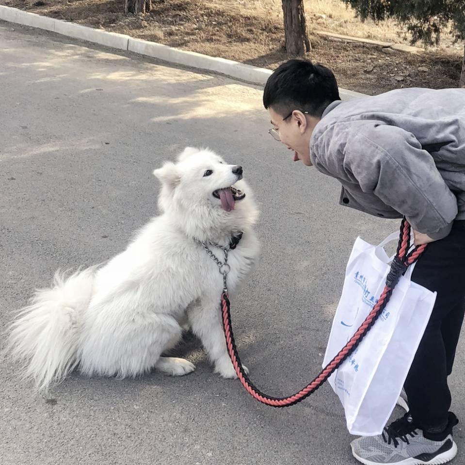 不邢也得邢