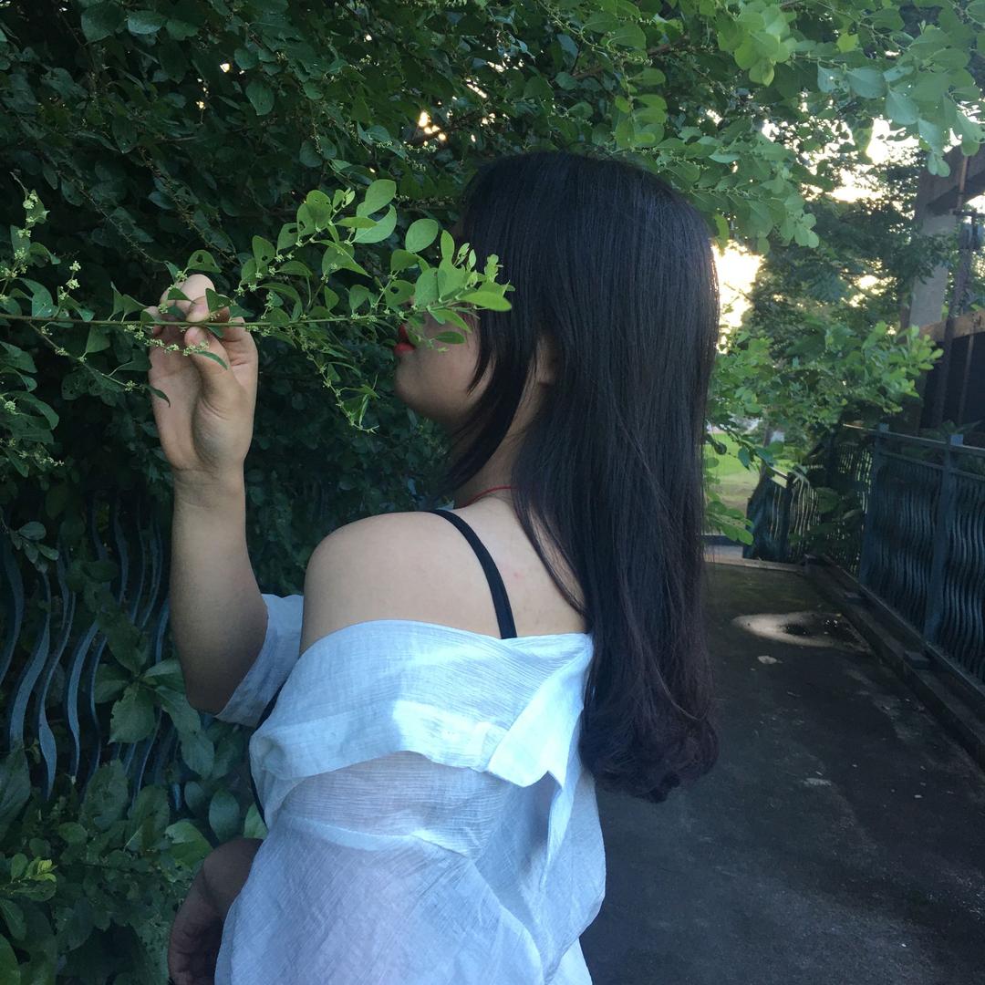 你的宝贝猪