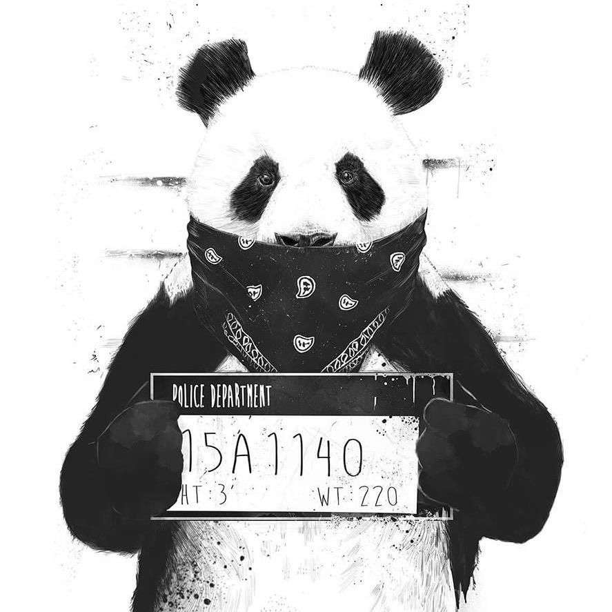 🐻