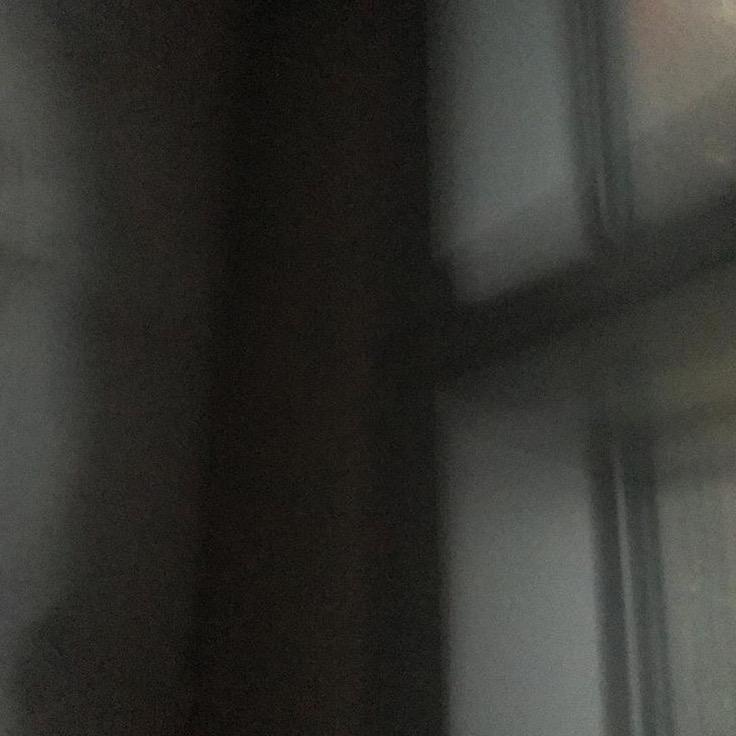东京砂糖碳
