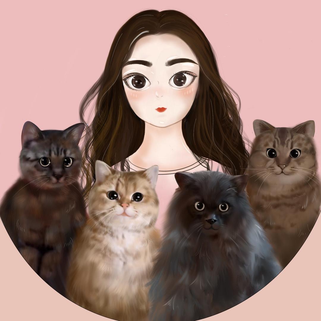 浣熊、美满、wonderful和豹纹