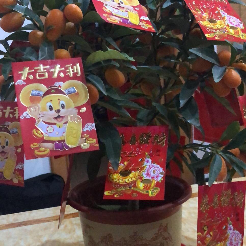 克洛若斯