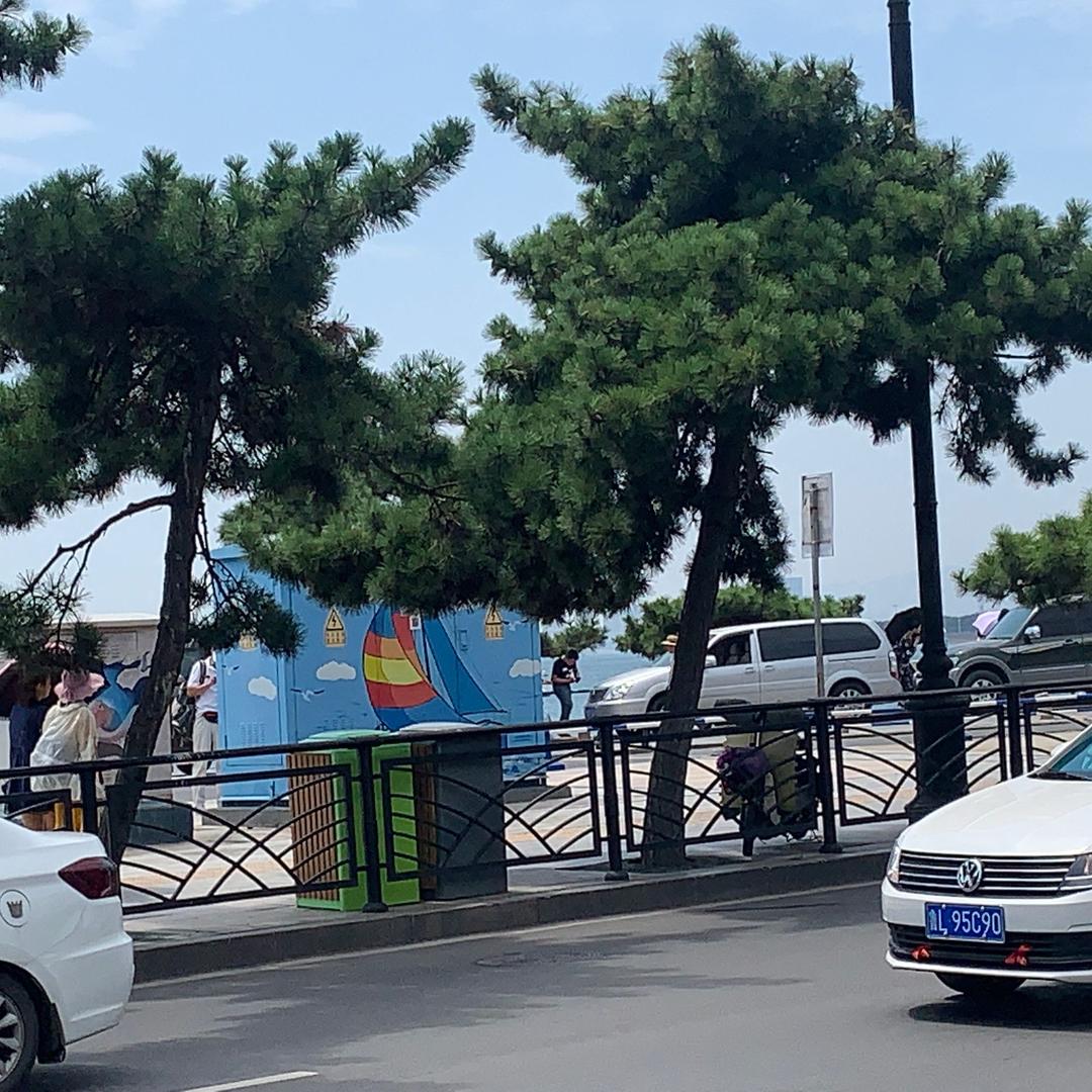 金彭，雅迪电动车