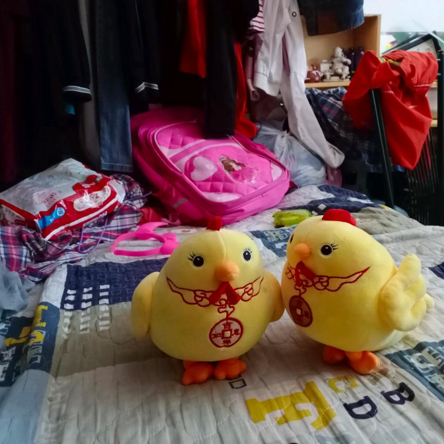 五朵金花