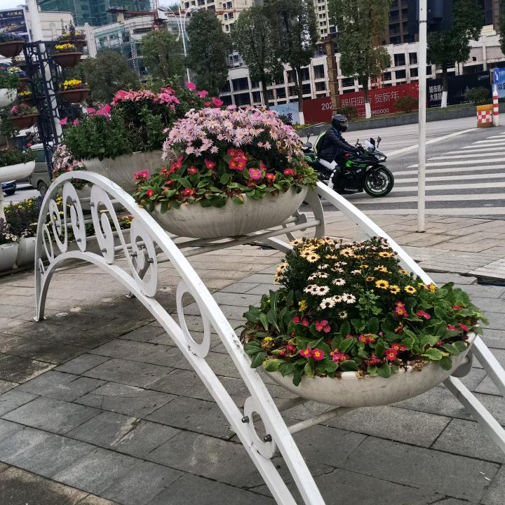紅桃K