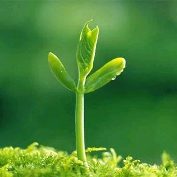 牵着蜗牛散步