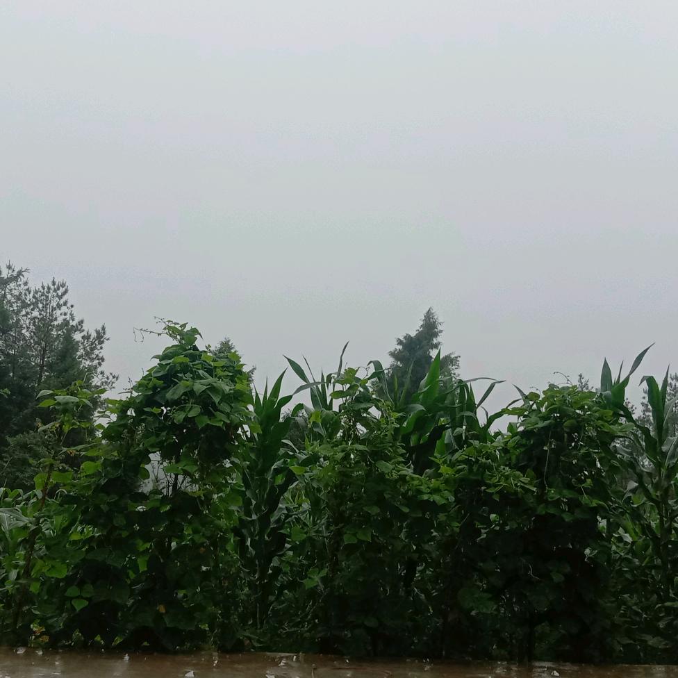 每天快乐.