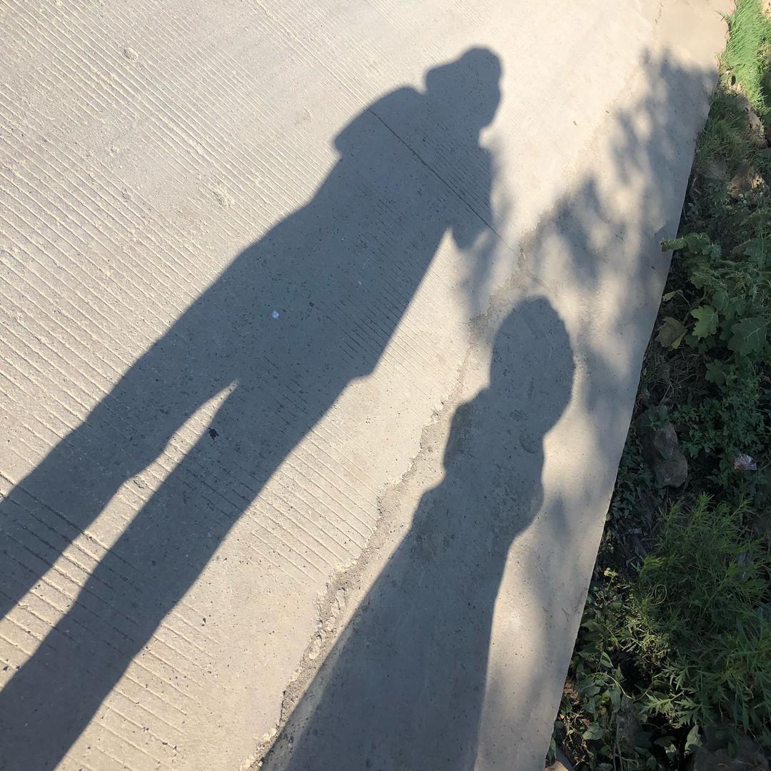 及时行乐