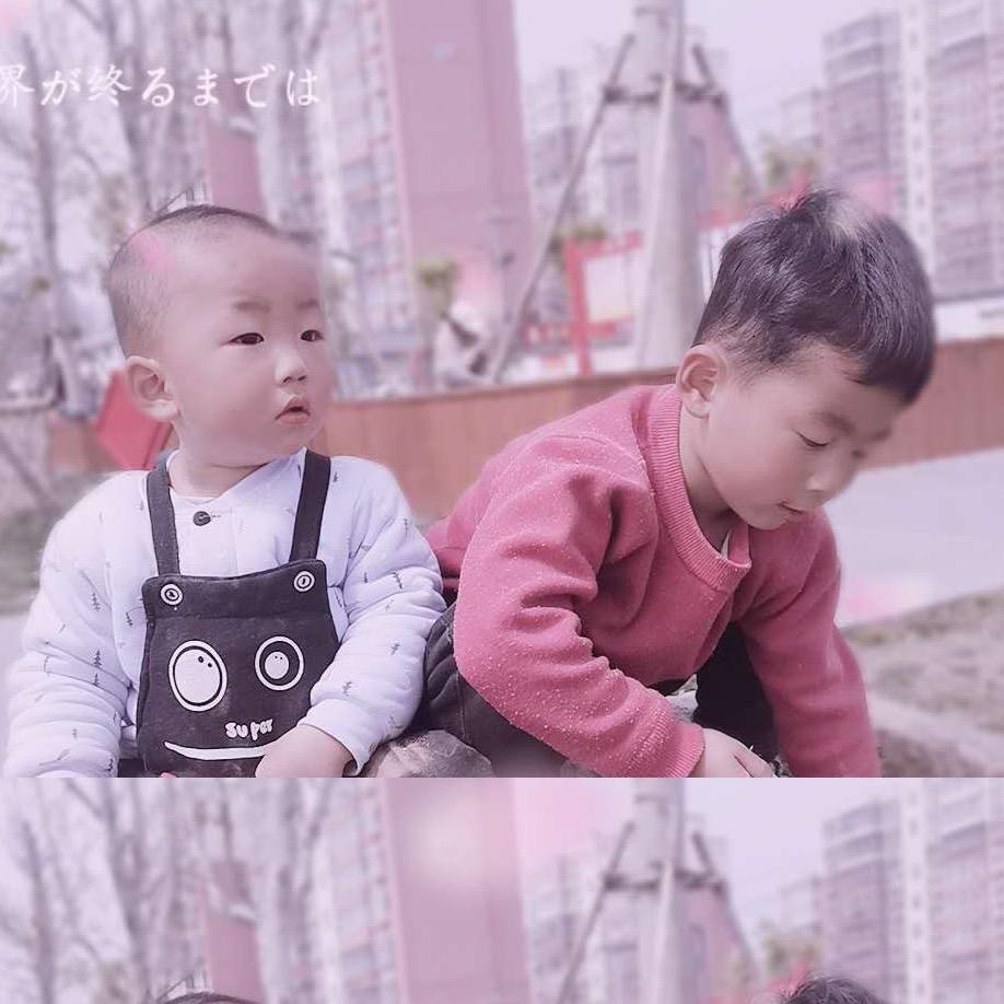 陈  龙