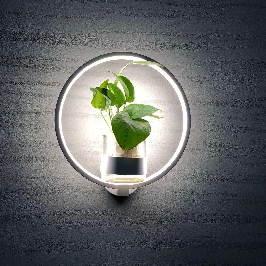 淹死会游泳的鱼