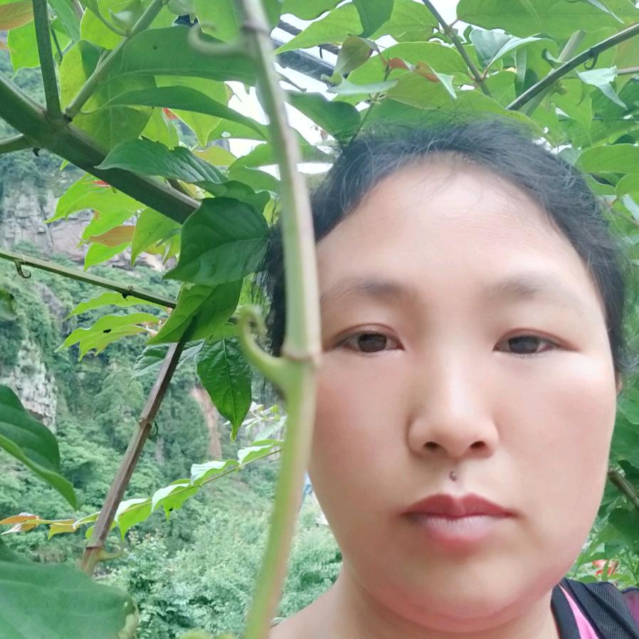 吴家平