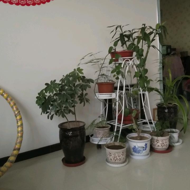 用户269327282582