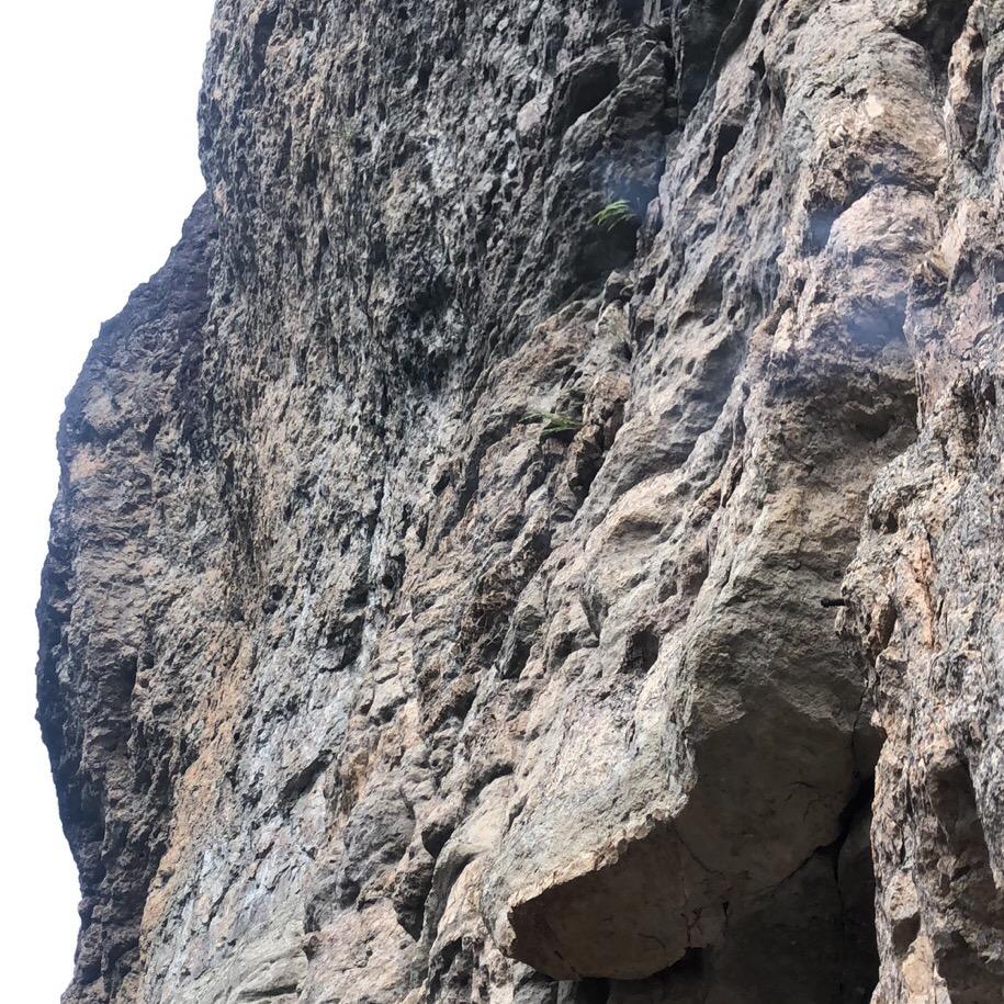 顺风顺水