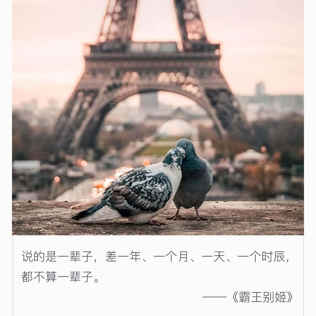 鱼人宁大炮