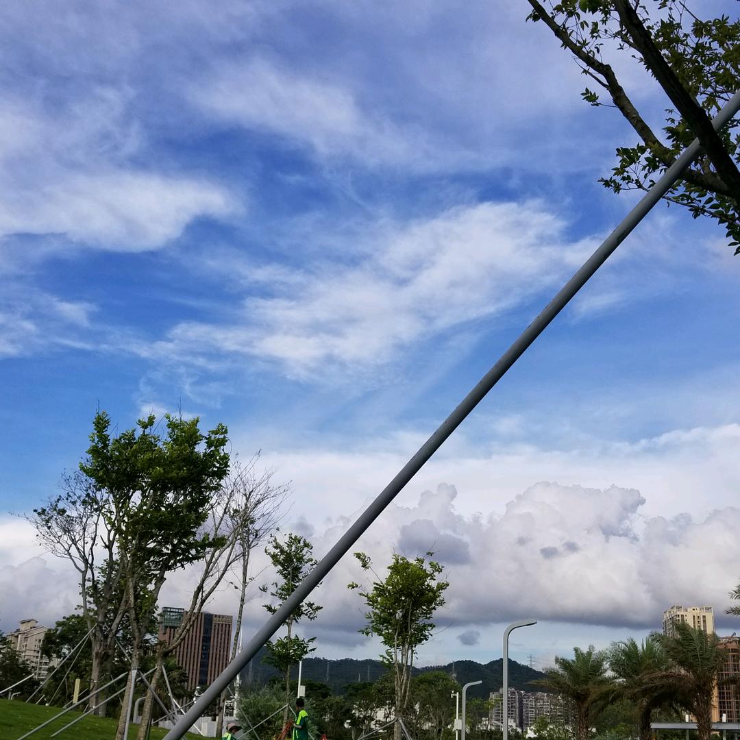 微风轻轻吹过来