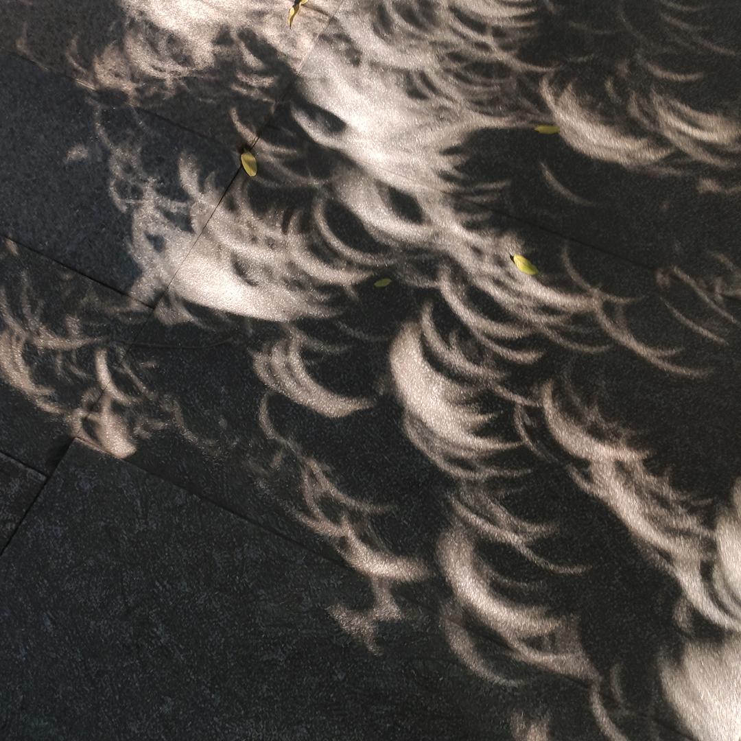 那杯天空