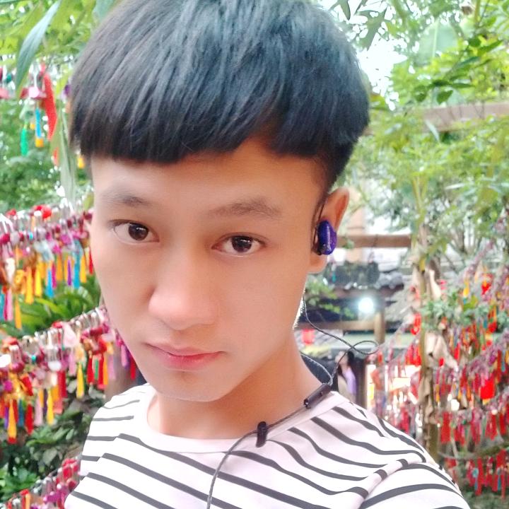 断翅飞马亦无惧