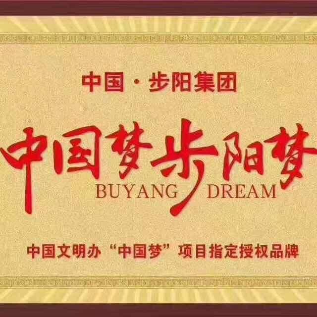 桐城步阳防盗门