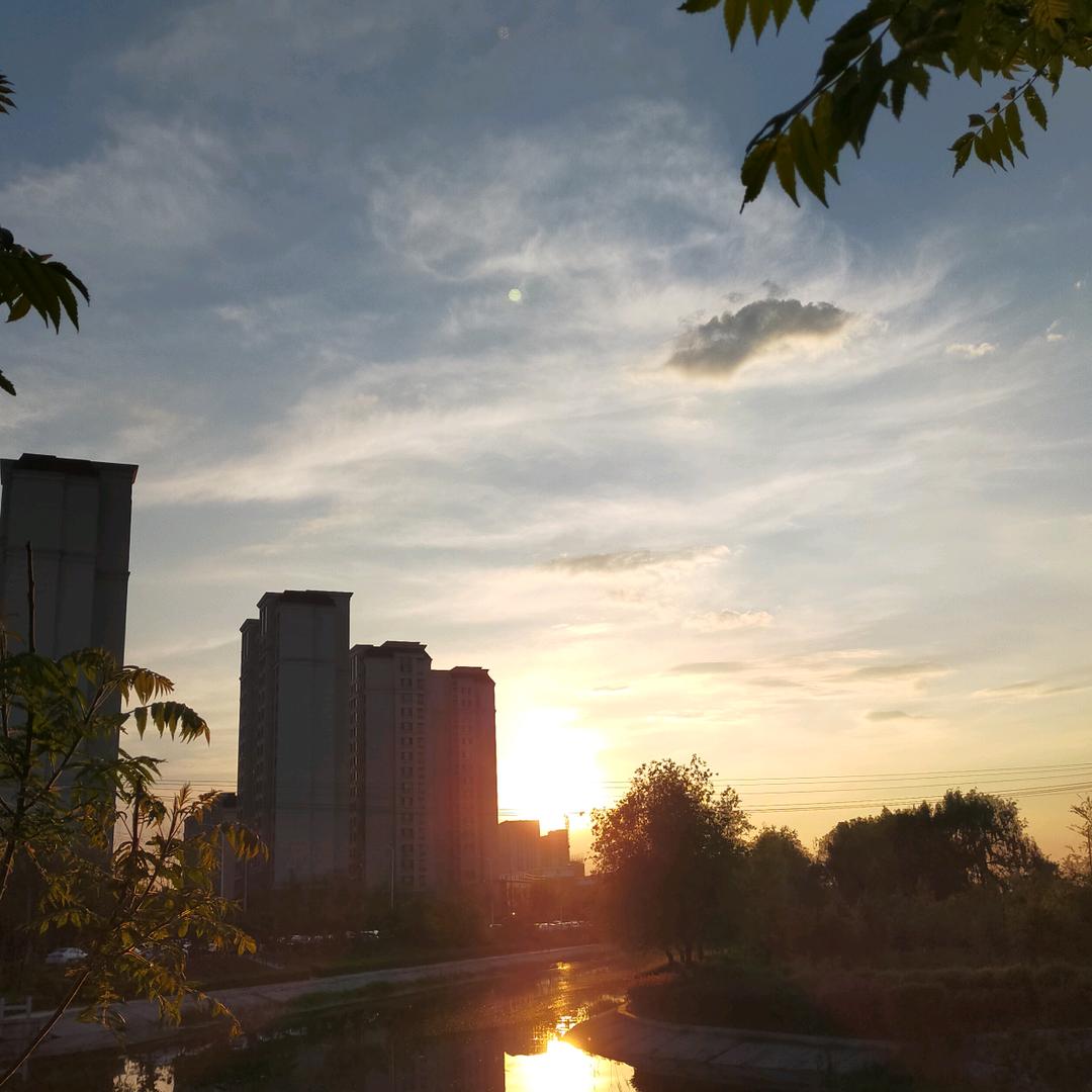 闲情逸致