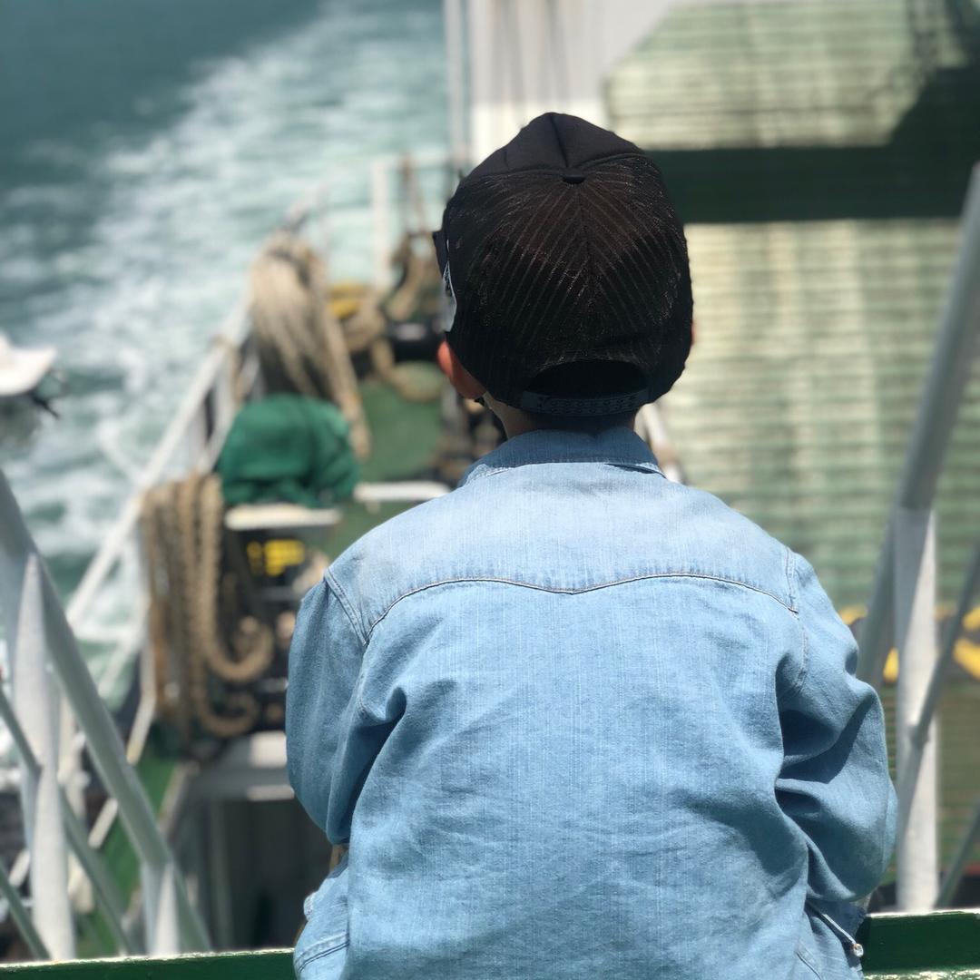 好样说虫子@抖音