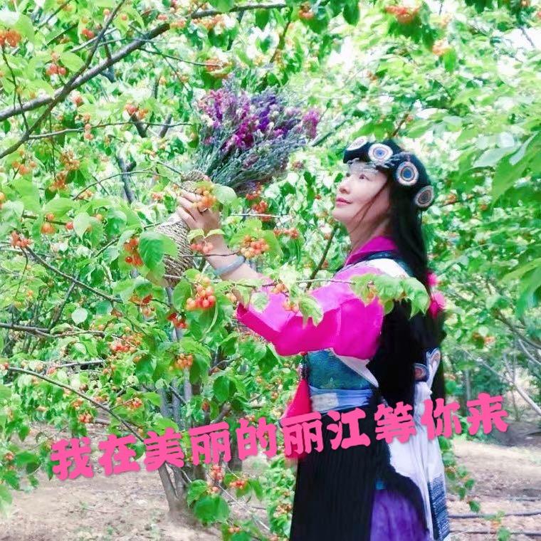 丽江如芸