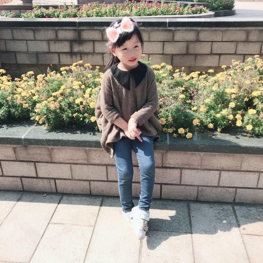 孤鹜