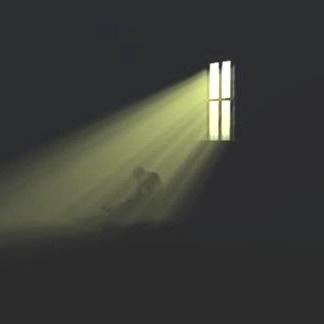 白白白的宝儿