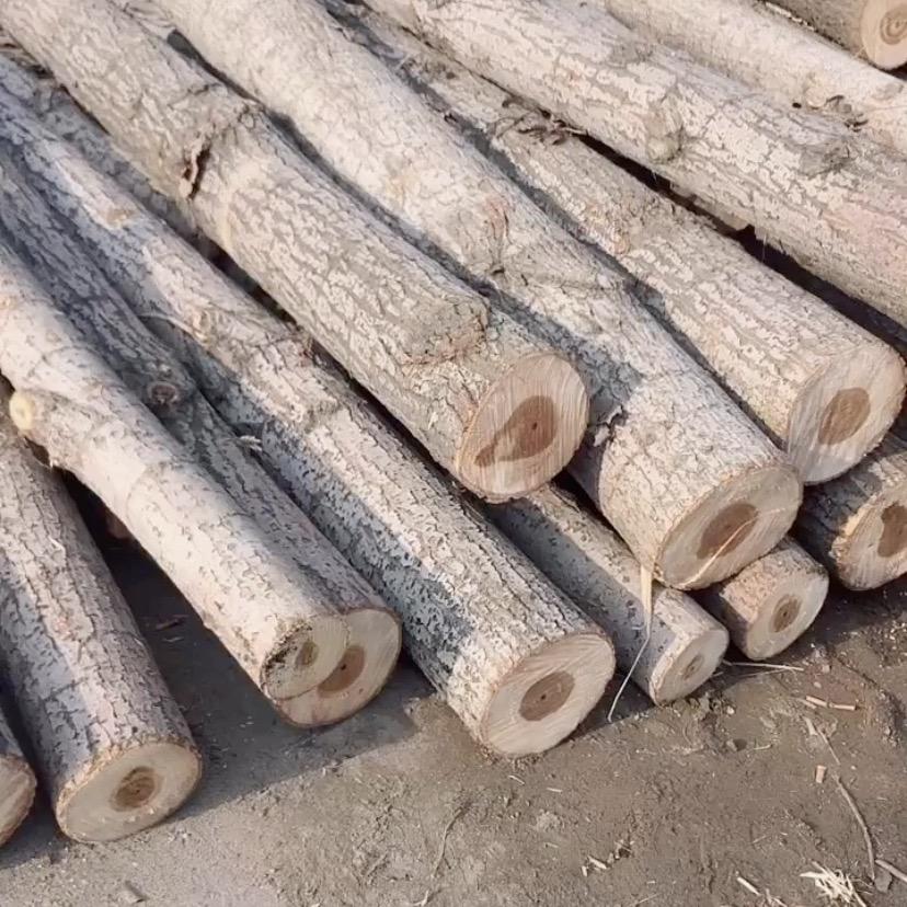 小任大量收购木材