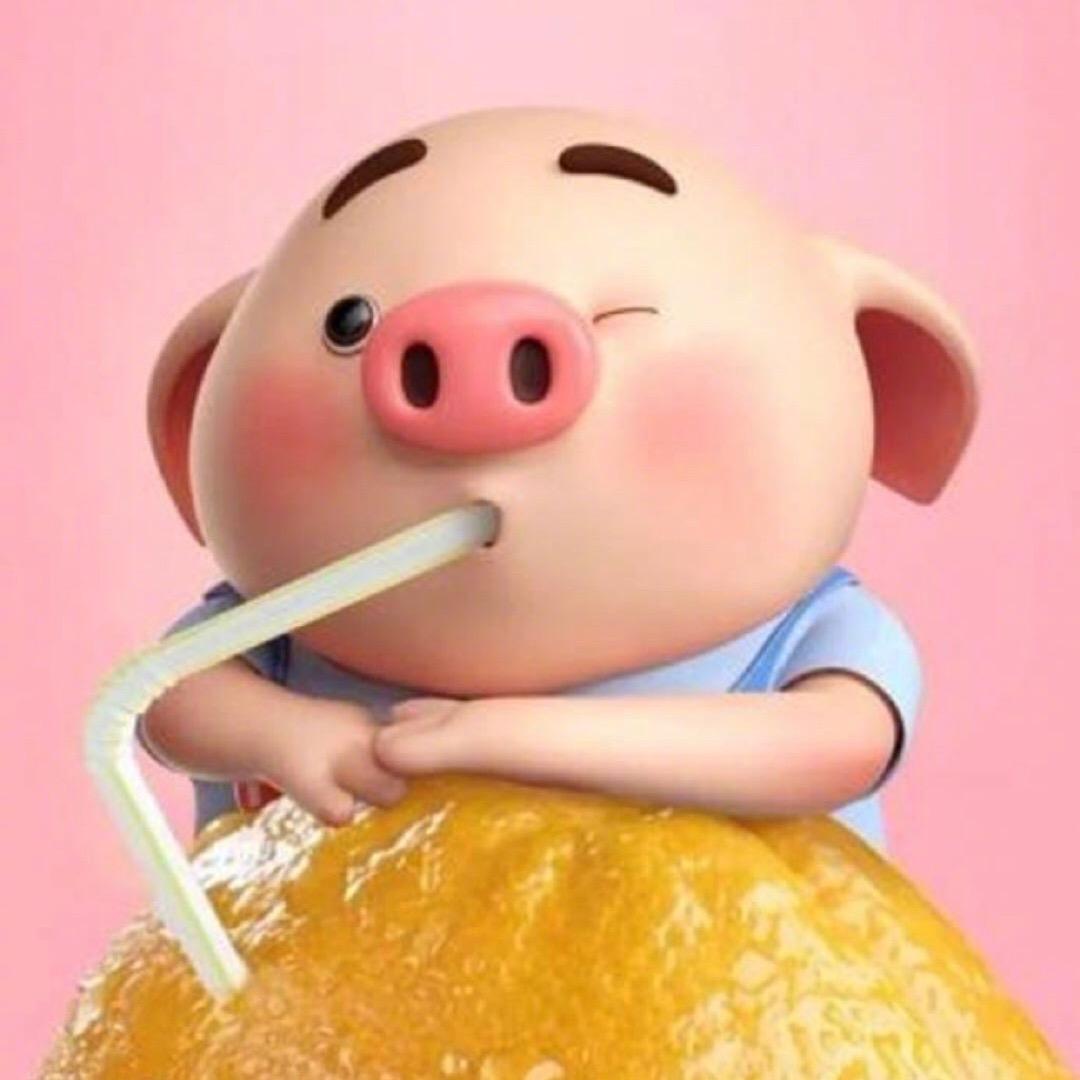 学会凉亭上看风景