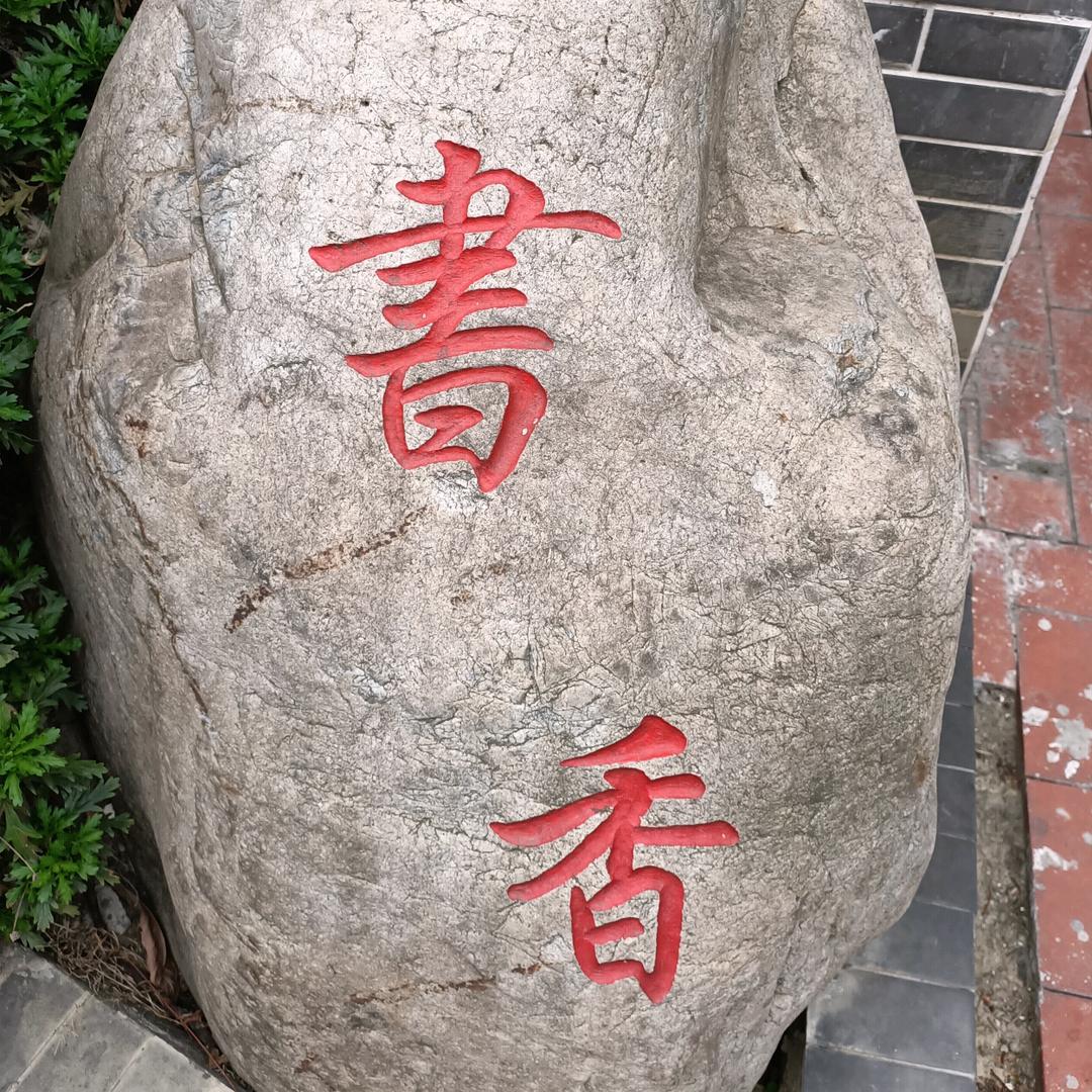 银杏树