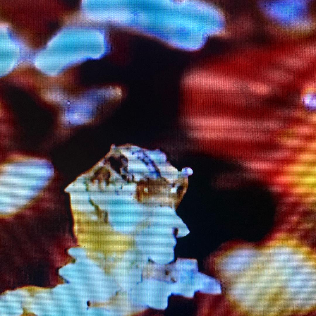 半隐半藏