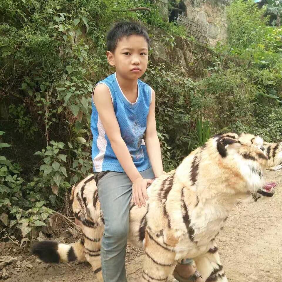 用户8941080544546