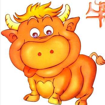 花毛驴