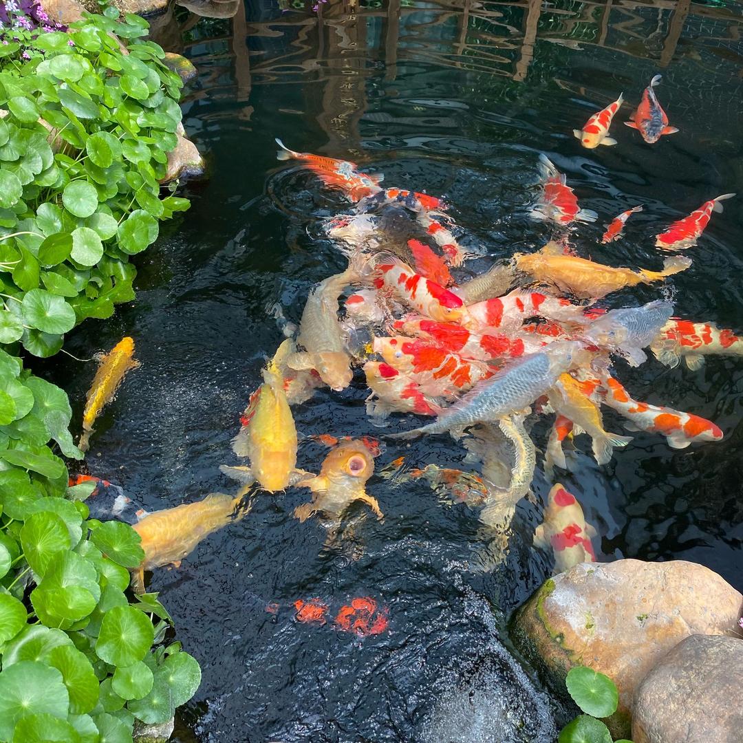 恒运水族用品设备