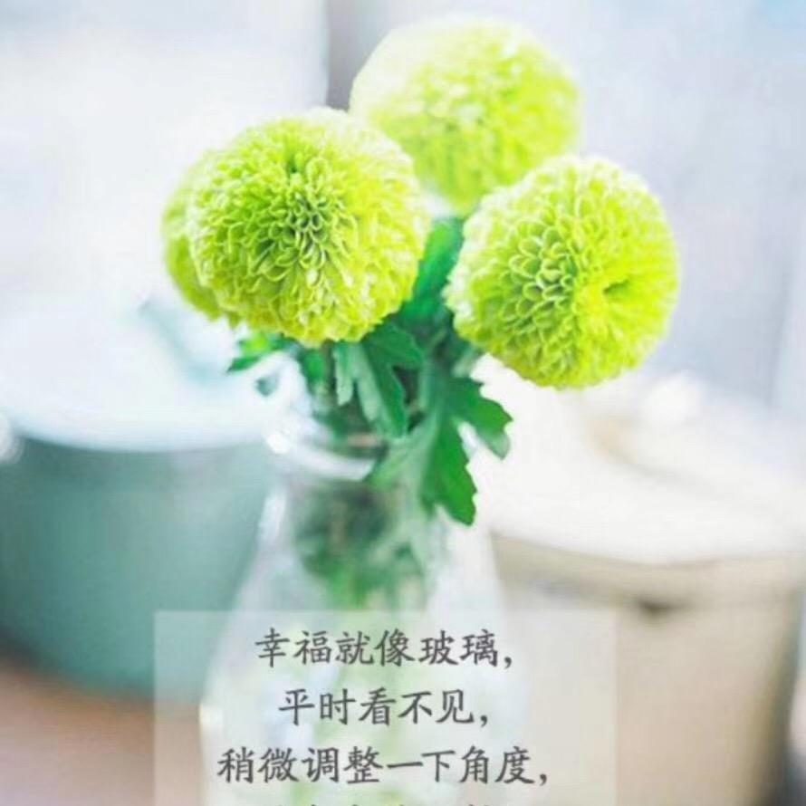 颖颖爱美