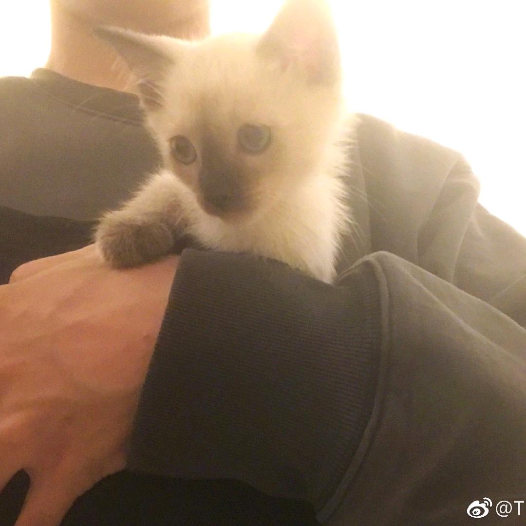失约的月光
