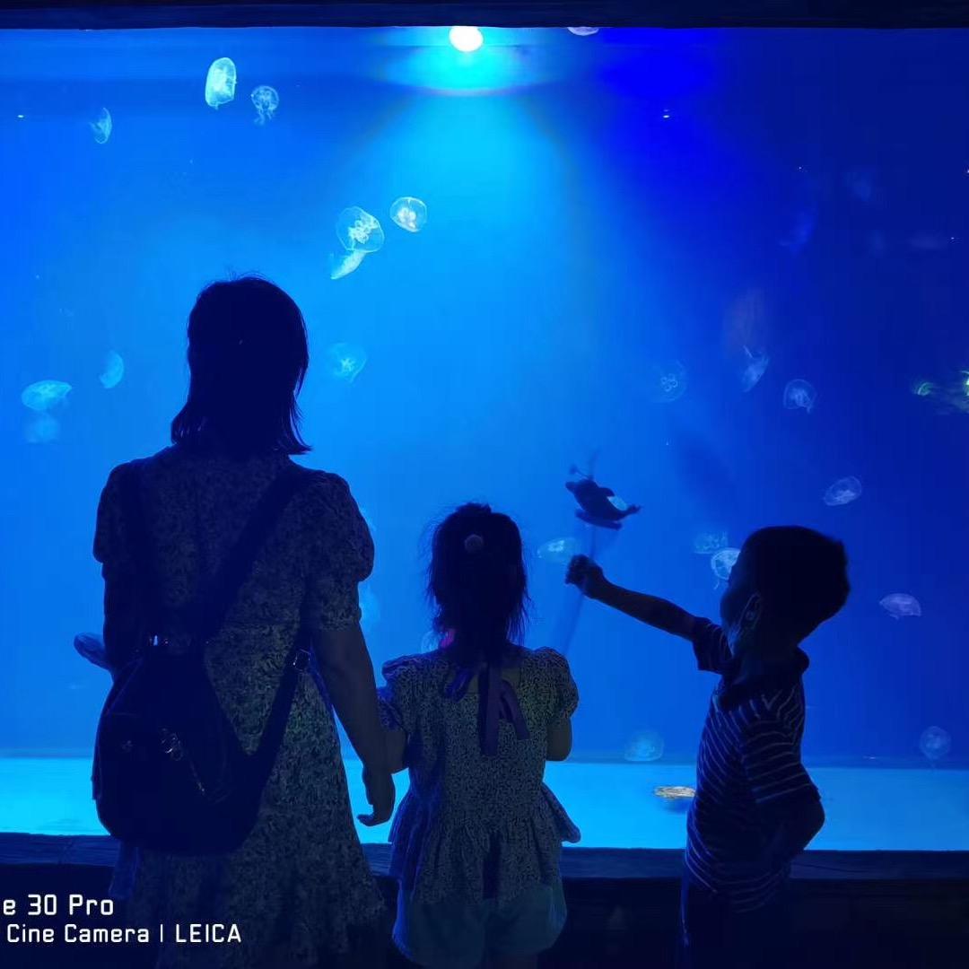 🎀朱朱爱美咖🎀