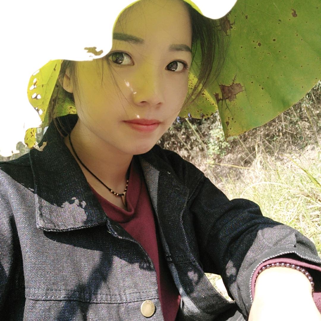 托尼丝