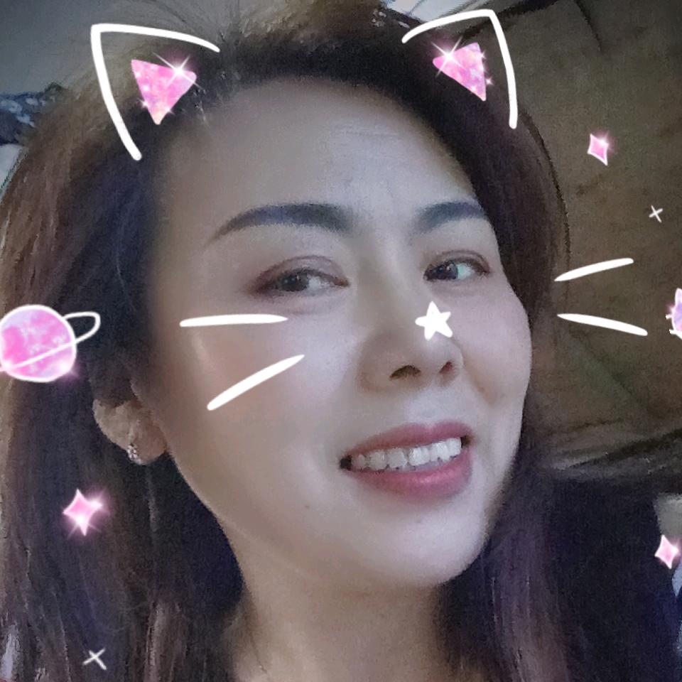 折花过往